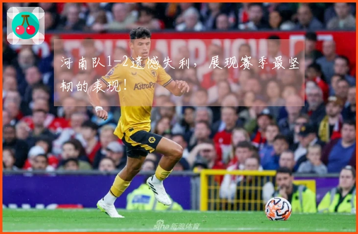 河南队1-2遗憾失利，展现赛季最坚韧的表现！