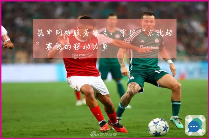 筑牢网络服务能力，守护“东北超”赛场的移动力量